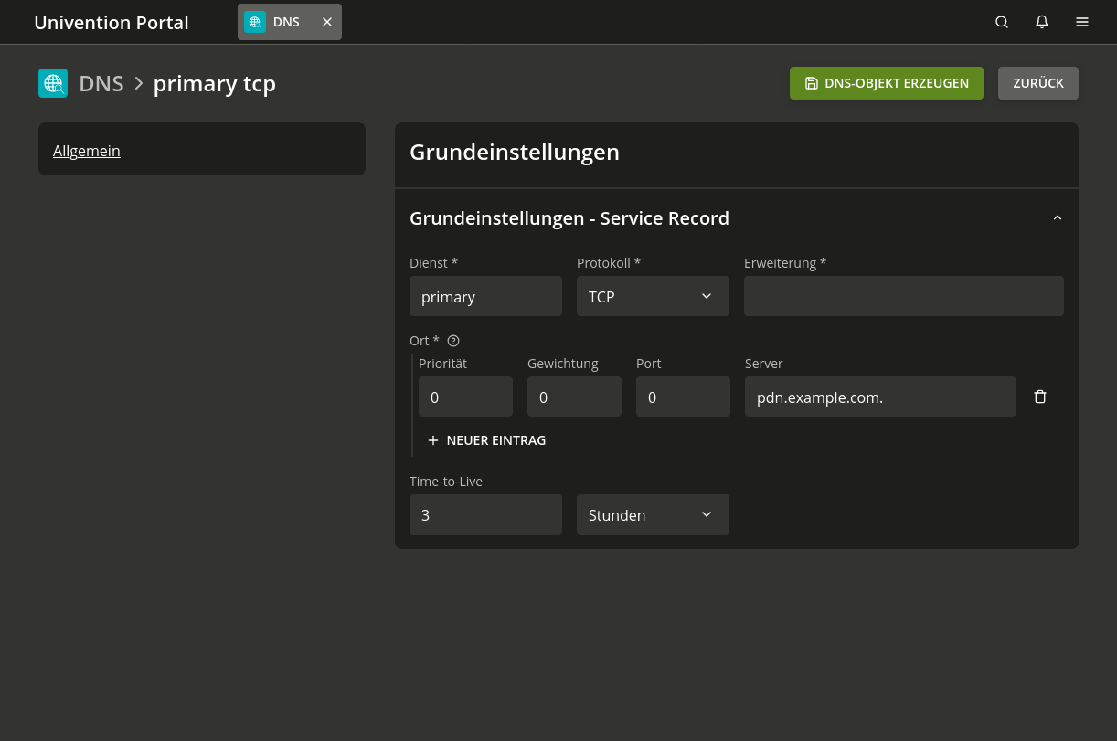 Konfiguration eines DNS Service-Eintrags